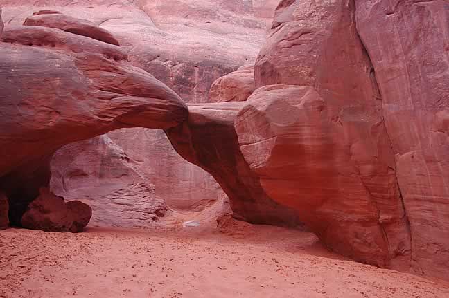 Axcent Photography