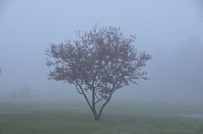 Axcent Photography